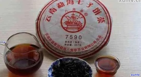 八角亭和福海茶厂哪个好