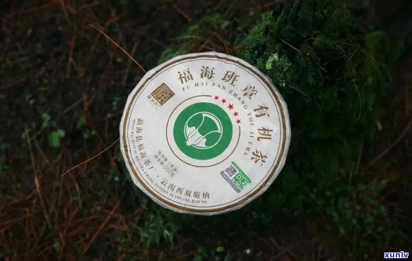 八角亭和福海茶厂哪个好