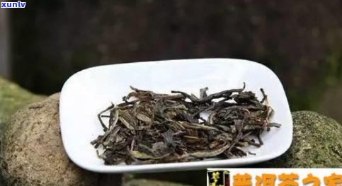 有苦味普洱茶好吗