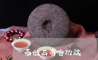 茶化石的作用与功效是什么