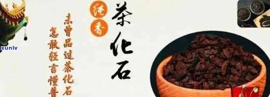 茶化石的作用与功效是什么