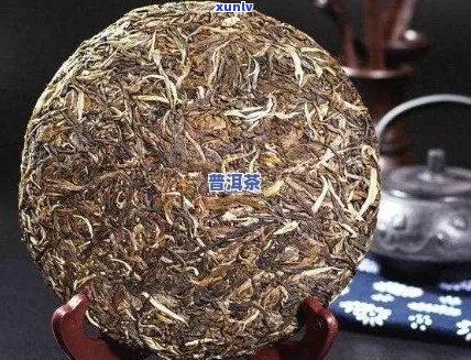 普洱茶放十年还能喝吗