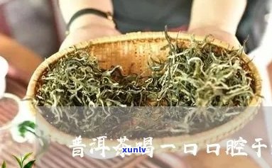 喝普洱茶口腔里有味