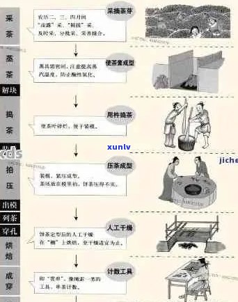 普洱茶贡茶的加工工艺