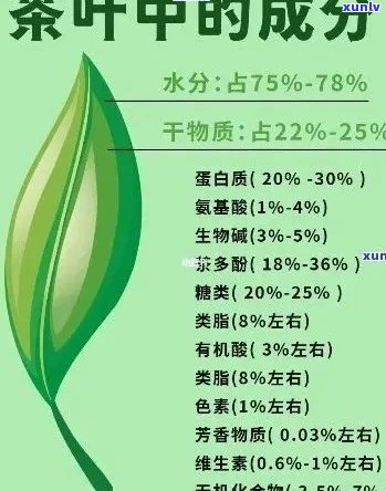 茶叶所含成分是什么