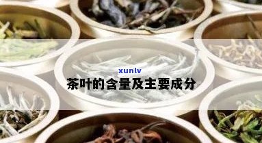 茶叶所含成分是什么