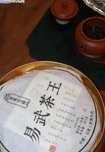 茶树王五星雀普洱茶