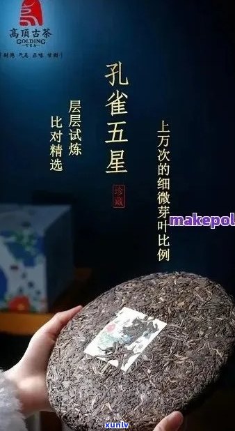 茶树王五星雀普洱茶