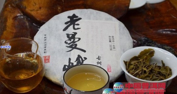 老曼峨的茶真的苦