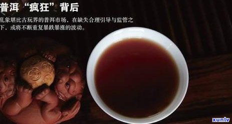 班章和曼松贡茶有什么区别