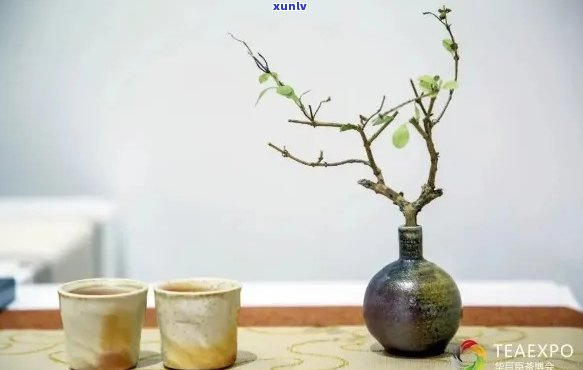 菏泽普洱茶手工插花