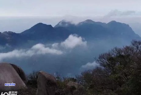 普洱茶能和荔枝一起吃吗