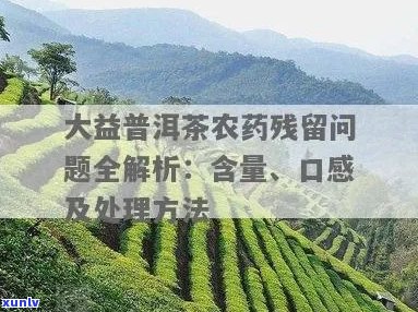 市面上普洱茶的农药多吗