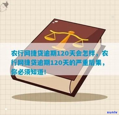 农行网捷贷逾期两年后的后果是什么