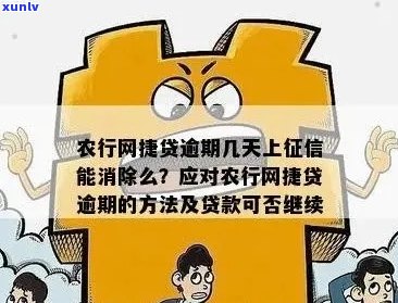 农行网捷贷逾期两年后的后果是什么