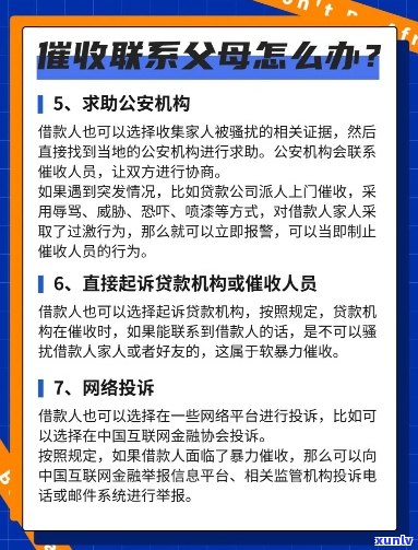 全面解析老班章排名前十，解答您的所有疑问和需求