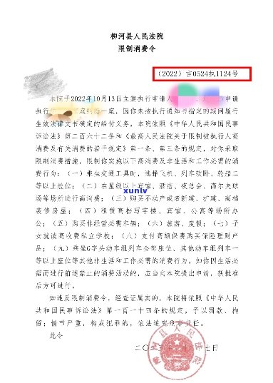 法院起诉强制执行有什么后果