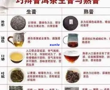 两类普洱茶都是一样的吗