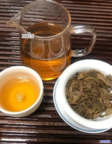 天喝普洱茶生茶