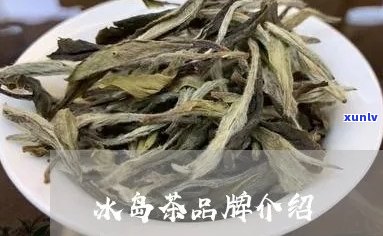 冰岛茶的基本介绍