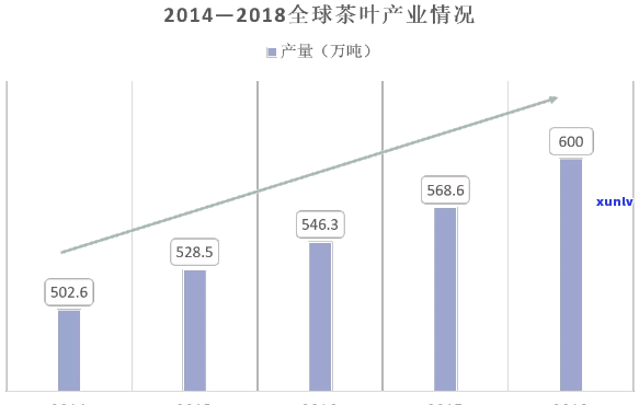 2019年茶叶总产值