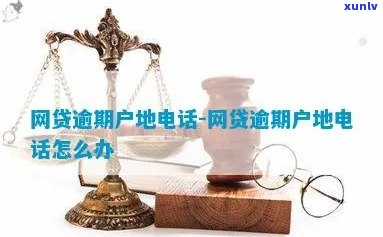 网贷逾期户地怎么查询详细步骤