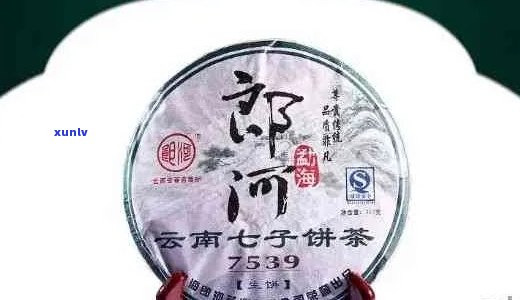 郎河7599普洱茶怎么样