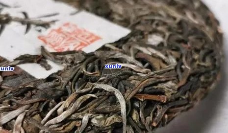 普洱茶受潮现象表现是