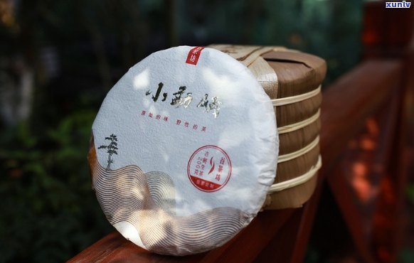 小勐峨古树茶价格