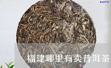 普洱茶之是福建人吗