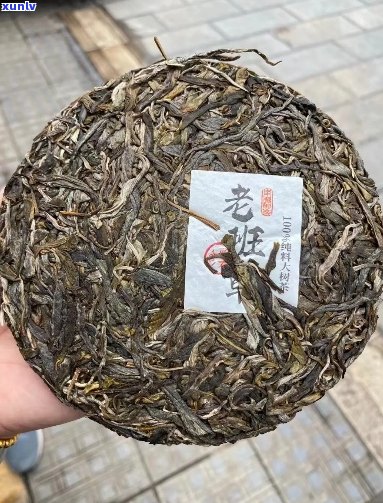 云南古树生茶老班章