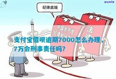 花呗欠款7000逾期了怎么办