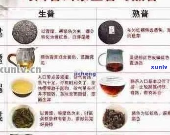 真正普洱茶有多少种