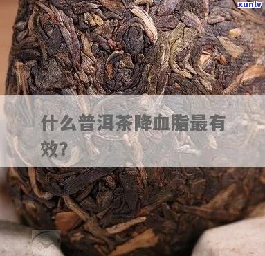 普洱茶真降血脂吗