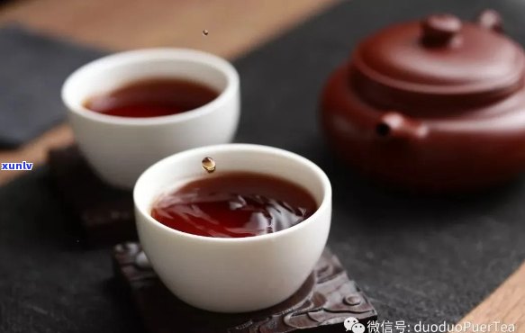 普洱茶熟茶功夫茶泡法