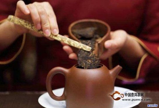 普洱茶熟茶功夫茶泡法