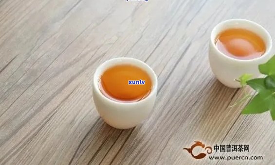 贵妃白是什么茶