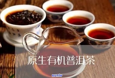 哪个普洱茶是生态有机