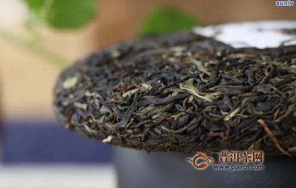 西双版纳普洱茶的好坏