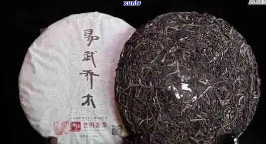 普洱茶口感好的推荐