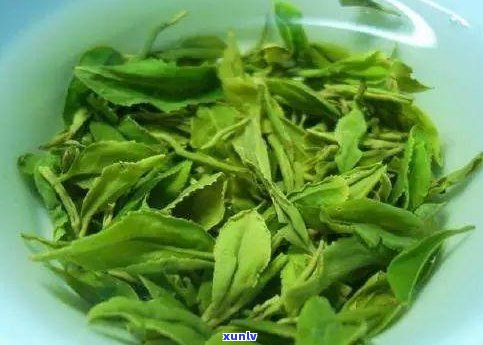 崂山野茶是什么茶