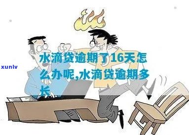 滴水贷逾期6天了怎么处理