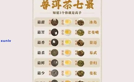 普洱茶口味不同的口感是