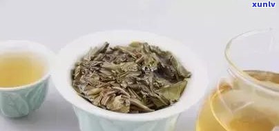 去哪里卖普洱茶比较好呢