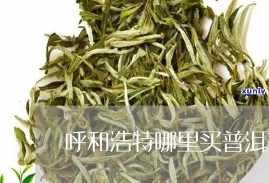 和浩特普洱茶加盟流程