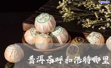 和浩特普洱茶加盟流程