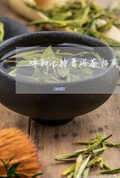 和浩特普洱茶加盟流程