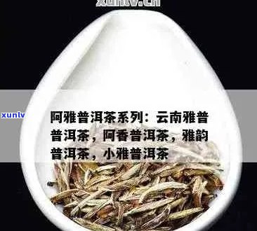 阿斯玛加波普洱茶来源