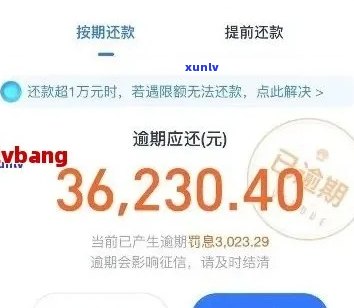 花呗欠款8000逾期两年怎么办