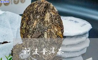 阿斯玛加波普洱茶来源